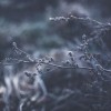 (永无止境第一季02)永无止境第二季免费观看：发现更多未知的世界奥秘