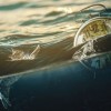 海商史全文免费阅读之大海商：历史悠久、传奇璀璨，无尽商机等待探索