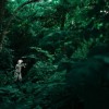 (苍之女武神1300层图)深度解读苍之女武神1300层攻略，通关技巧与秘籍揭秘
