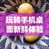 玩转手机桌面新鲜体验：详解萌兽贝贝小组件操作攻略与实用技巧