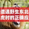 (2+2领主会爆史诗吗)DNF2+2领主史诗爆率大揭秘：如何提升爆率并获得稀有装备？
