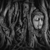 (泰拉瑞亚 泰拉魔刃)探秘泰拉瑞亚神秘魔刃的力量及秘密藏匿之处