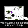 异族崛起完整版中文版免费安装下载-异族崛起完整版汉化下载手机版v.4.94