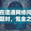 在遭遇网络问题时，氪金之王登不上去怎么办？三大有效解决方案向玩家揭秘