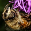 (山海经异兽录秒懂百科)山海经异兽录重启：探秘神秘生物，揭秘山海奇谭再度展开征程