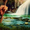 探寻宠物王国之梦幻王国的奇幻世界：魔法、友谊和冒险等待着你