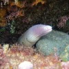 (我想看怪兽岛)探秘怪兽岛生存视频：挑战恐怖生物，拯救自己求生