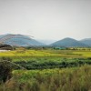深度揭秘：城邦发展史攻略，揭秘城市由小村落到方兴未艾的帝国之路