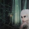 掌握奇幻世界：精灵掌门人全本TXT免费下载，全方位揭秘神秘精灵世界秘密