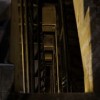 疯狂掠食者无限金币版：挑战无尽财富！无限金币让你猎户百战不殆！
