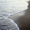 (浪漫庄园鱼脉分布图)浪漫庄园鱼类分布图：探索庄园的神秘水域生物多样性