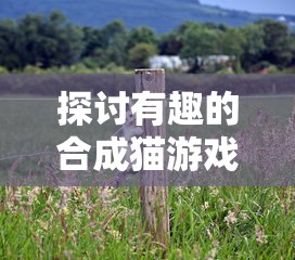 阴阳师元气卡冲击：全面解析角色升级与竞技对战中的关键影响因素