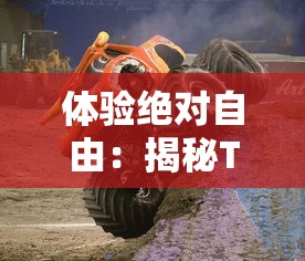 (动物狂欢节野驴)探寻丛林秘境：动物狂欢节游戏引领你解锁野生生存挑战之谜