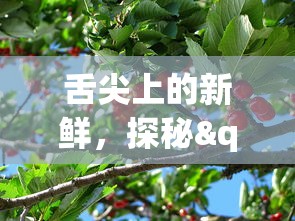 (万剑乾坤雷神手游官网)万剑乾坤雷神手游：创新玩法引领潮流，重塑手游市场格局