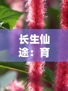 长生仙途：育妖养植，挖掘修仙生涯中奇特植物和妖兽的奥秘培育之术