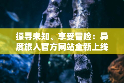 针对网络热词'小富婆'的深度解读：一窥其真实含义和社会现象背后的文化透视