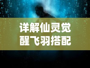 详解仙灵觉醒飞羽搭配伙伴策略：持续输出与爆发能力的完美平衡实现方式