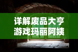 详解废品大亨游戏玛丽阿姨房子钟寻找之谜：掌握技巧，正确找出钟的位置