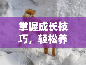 达猫小分队:炼金大冒险，探索神秘世界，挑战未知领域，勇闯炼金之路！