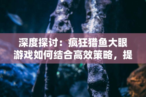 探讨热门游戏荣誉指挥官是否重新开服：玩家期待与备受关注的更新信息一览