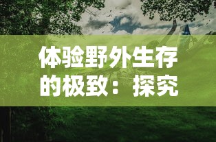 重回历叐现场：追寻遗失的终章第一章，挖掘英国玛丽女王沉船的未解难题