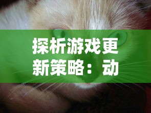 掀起回忆潮流，我叫MT经典再现新月转换券，随心取舍角色召唤回合战斗之旅