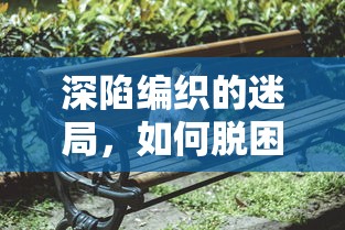 深陷编织的迷局，如何脱困？——专家深度剖析与宠物共享的人生攻略