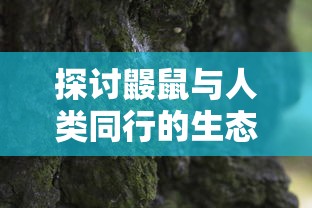 探究网络游戏黎明觉醒人气骤降的原因：引人瞩目却为何瞬间变成无人问津