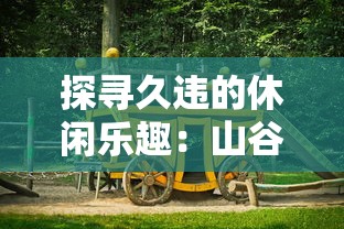 详解《天堂2：燃烧王座5号》单打策略：职业选择、装备分析与合理布局提升单人生存能力