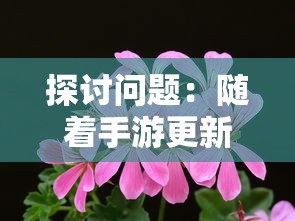新澳门尾数期期准|探索新兴市场投资趋势_定时制.6.848