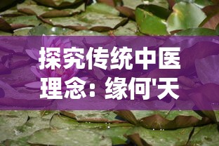 探究传统中医理念: 缘何'天门冬'能健身养生，被誉为'服食成仙'的神奇灵草