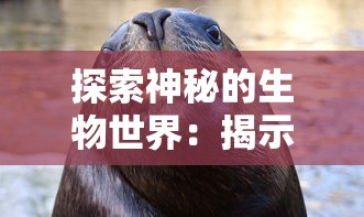 探索神秘的生物世界:揭示‘狗反子’究竟是什么动物及其在生态学中的重要作用 探索神秘的生物世界:揭示‘狗反子’究竟是什么动物及其在生态学中的重要作用