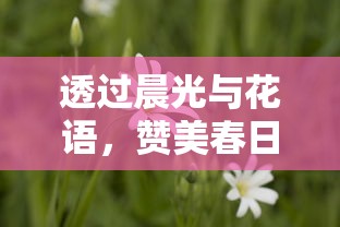 太乙仙魔录之灵飞纪第五季：揭秘主角修行千年之谜，端本未解之谜将引领剧情新走向