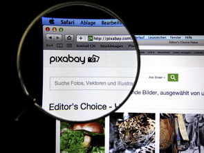 (社畜如何快乐)社畜的福报免广告答题：如何突破困境，赢得成功？