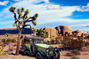 (关晓彤晒素颜大眼照)关晓彤素颜自拍曝光：网友惊叹其清新自然的颜值