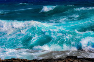 详解山河之志更换联盟的步骤流程：关于联盟转移的须知和注意事项