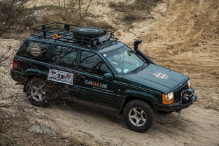 (探索未知世界系列)探索未知世界:体验自由驾驶游戏的乐趣 (探索未知世界系列)探索未知世界:体验自由驾驶游戏的乐趣