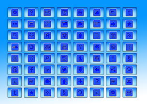 白小姐期期一肖今晚开奖记录|现象解答解释落实_WearOS.7.319 白小姐期期一肖今晚开奖记录|现象解答解释落实_WearOS.7.319