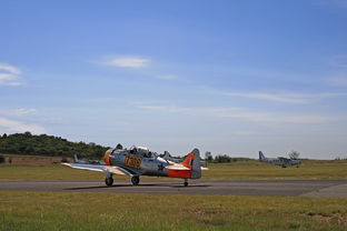 (东海航空 基地)东海航空基地的分布和布局情况统计分析