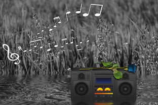 (代号drak)代号DL和代号LOA：多年打磨，呈现出的不凡成就和无限可能性