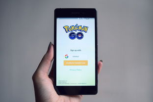 (口袋妖怪火红一周目攻略全图文流程通关攻略)口袋妖怪火红攻略：详细一周目全程日记，让你轻松成为高手！