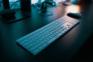 体验刺激趣味消除游戏，下载消消宠App官方最新版，享受全新升级视觉特效与策略玩法挑战