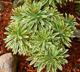 寻宝游戏的意义：探索未知领域，激发勇气与探险精神，提升智力与解谜能力。