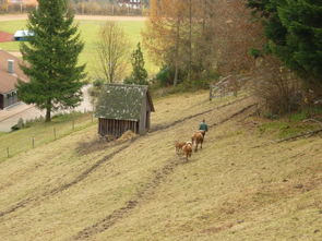 新手村双生爆魂攻略：热血战士，打怪升级不是梦