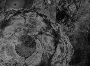 (提灯与地下城那些宠物值得培养)揭秘提灯与地下城最强三宠物王者之争 (提灯与地下城那些宠物值得培养)揭秘提灯与地下城最强三宠物王者之争