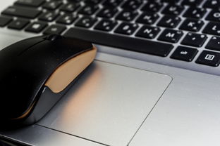 (诸神传奇)探寻永恒诸神传世手游官网的魅力和奥秘