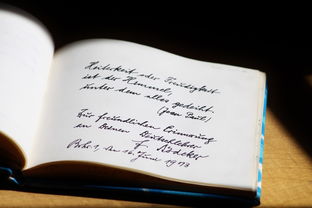 (遇见引领自己成长的人)是引导还是放任？——遇见作文600字，探讨家长如何指导孩子写作