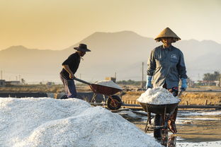 (dnf麦吉的改造风暴怎么获得)麦吉大改造无限金币下载免费获取，实用快捷，游戏精彩