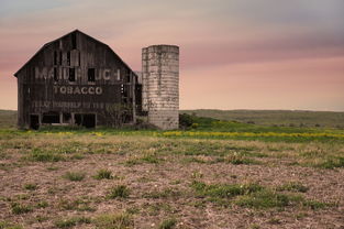(角落小伙伴农场汉化版)探索角落小伙伴的农场生活日常，发现其中的乐趣与挑战