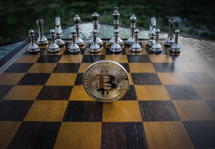 详解蝶舞迷梦关卡攻略，教你如何轻松过关在织梦森林手游中实现完美闯关